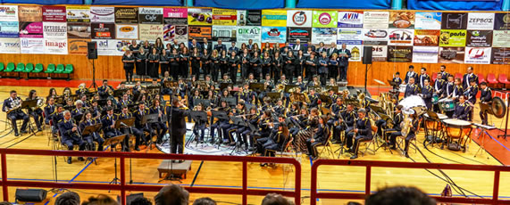 Palli Philharmonic School of Music