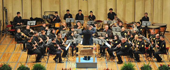 Banda Musicale Comunale "Citt di Villa Santo Stefano"